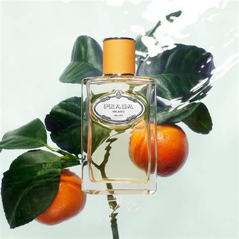 prada les infusions mandarine eau de parfum|Infusion Mandarine Prada for women and men .